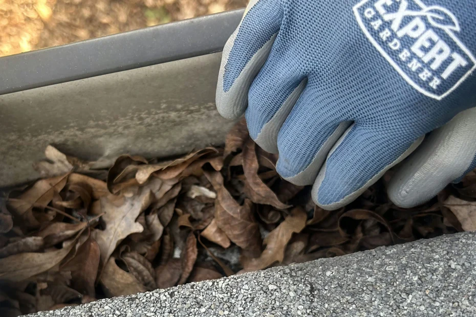 Gutter Cleaning Highland Village TX