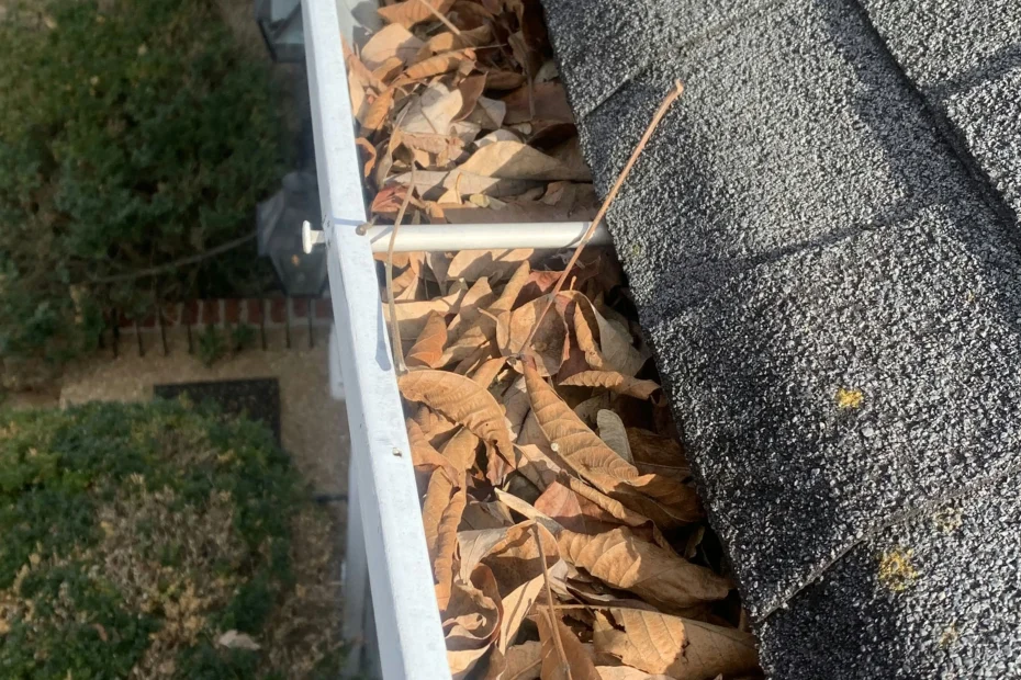 Gutter Cleaning Highland Village TX